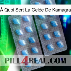 À Quoi Sert La Gelée De Kamagra viagra4
